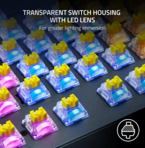 RAZER SWITCH PACK x36